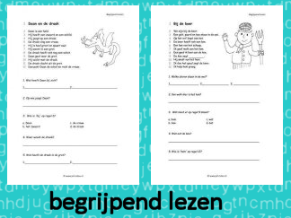 Begrijpend Lezen 1