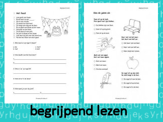 Begrijpend Lezen 3