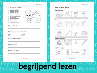 Begrijpend Lezen 4