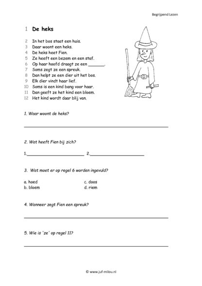 Begrijpend Lezen 2 - Afbeelding 5