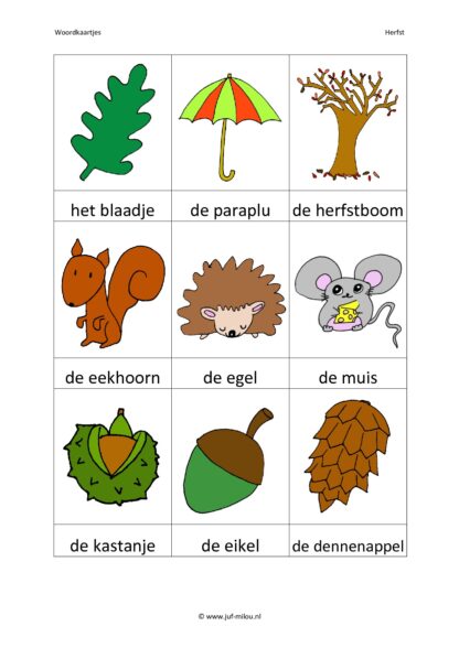Herfst - Compleet thema - Afbeelding 2