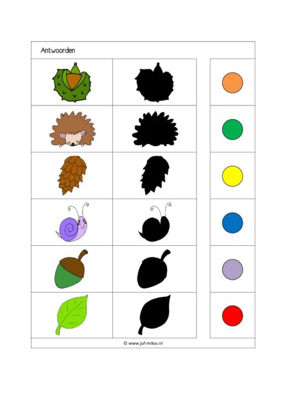 Herfst - Compleet thema - Afbeelding 7