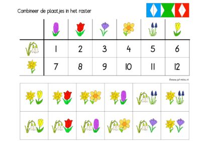 Lente - 8 Loco - Afbeelding 2