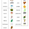 Herfst - 6 Spelletjes - Afbeelding 7