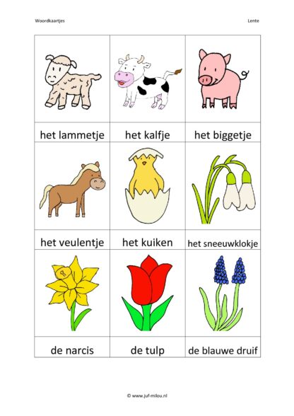 Lente - Compleet thema - Afbeelding 2