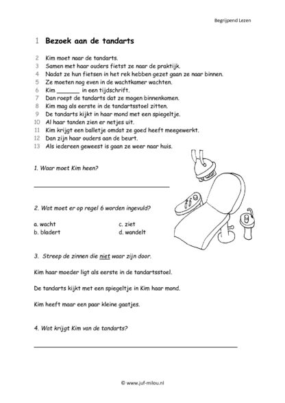 Begrijpend Lezen 1 - Afbeelding 2