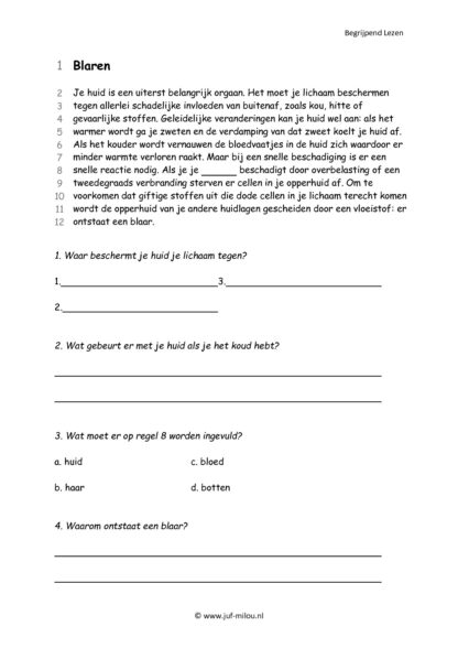 Begrijpend Lezen 1 - Afbeelding 3