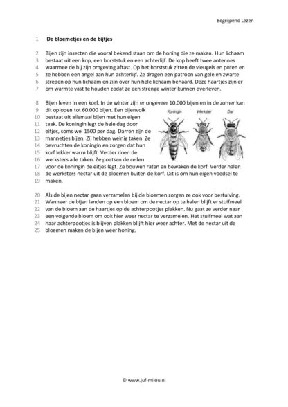 Begrijpend Lezen 1 - Afbeelding 4