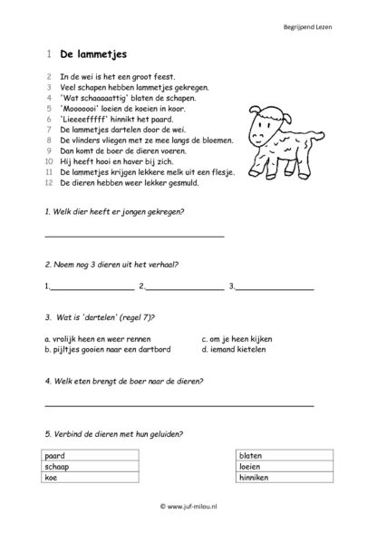 Begrijpend Lezen 1 - Afbeelding 4