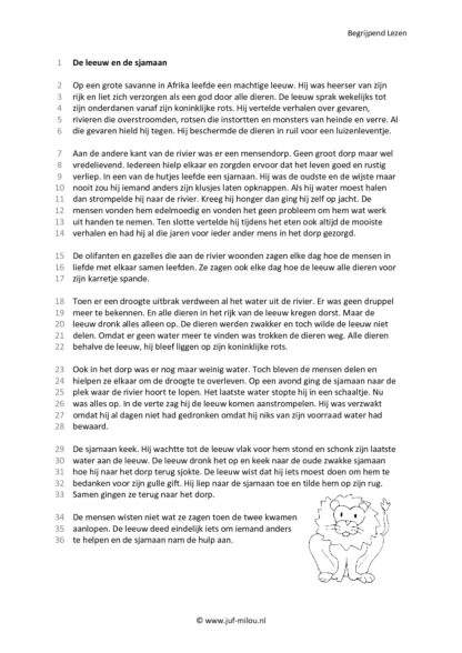 Begrijpend Lezen 2 - Afbeelding 2