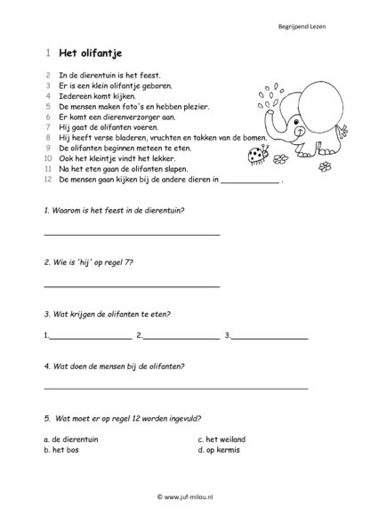 Begrijpend Lezen 2 - Afbeelding 3