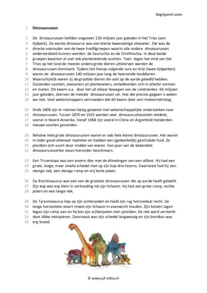 Begrijpend Lezen 2 - Afbeelding 4