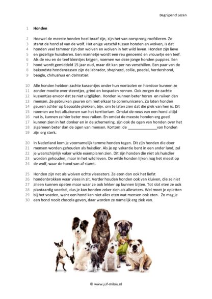 Begrijpend Lezen 3 - Afbeelding 3