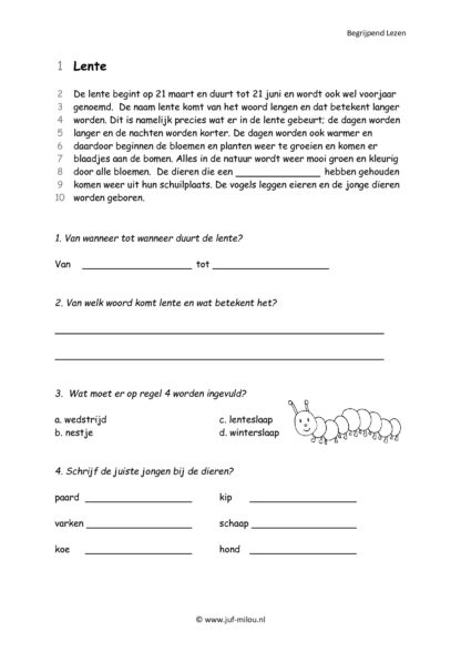 Begrijpend Lezen 4 - Afbeelding 3