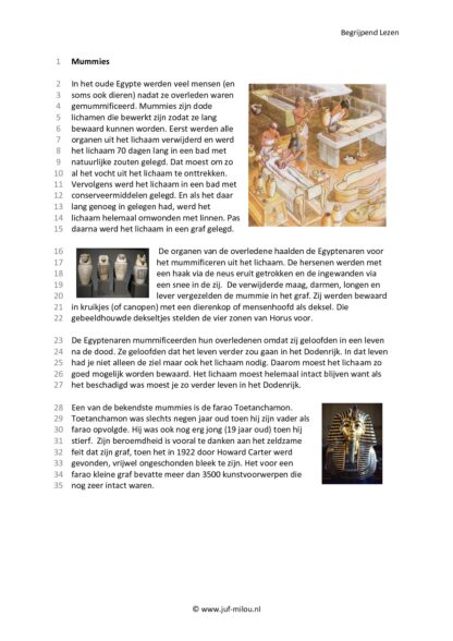Begrijpend Lezen 4 - Afbeelding 3