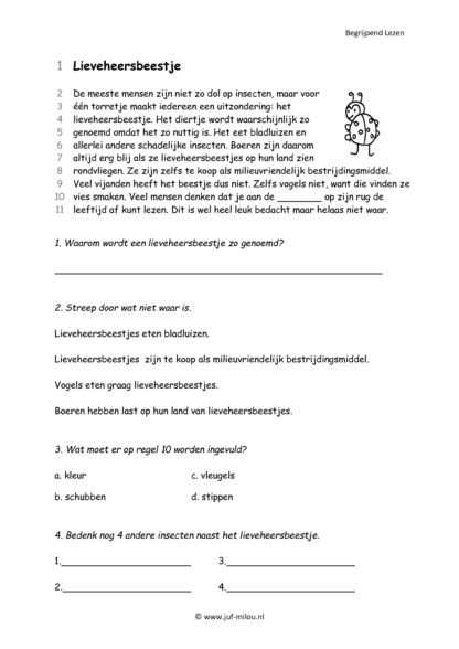 Begrijpend Lezen 4 - Afbeelding 4