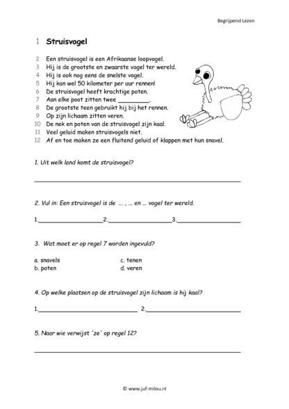 Begrijpend Lezen 4 - Afbeelding 4