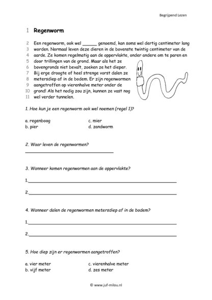Begrijpend Lezen 5 - Afbeelding 2