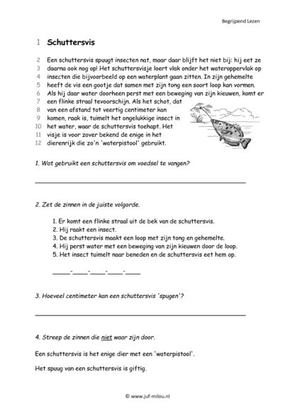 Begrijpend Lezen 5 - Afbeelding 3