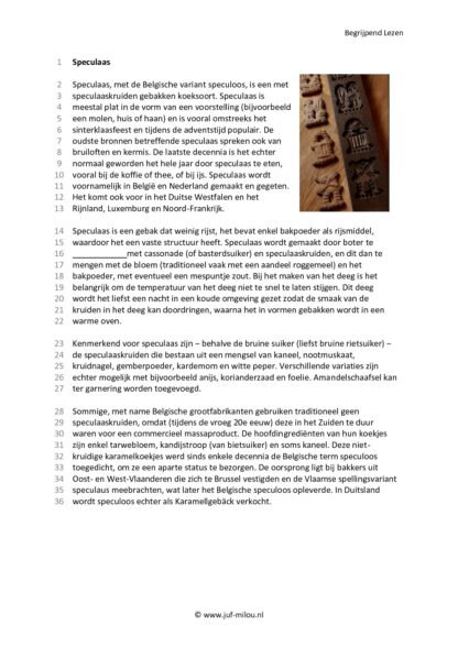 Begrijpend Lezen 5 - Afbeelding 4