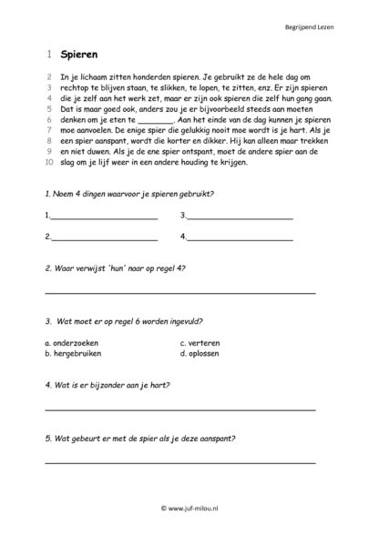 Begrijpend Lezen 5 - Afbeelding 5