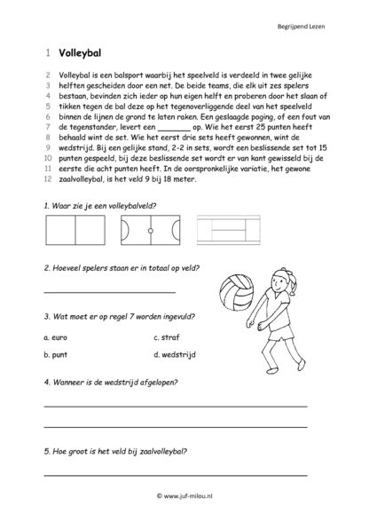Begrijpend Lezen 6 - Afbeelding 4