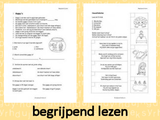 Begrijpend Lezen 2
