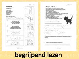 Begrijpend Lezen 3