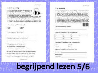 Begrijpend Lezen 5