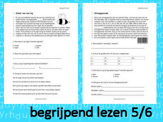 Begrijpend Lezen 5