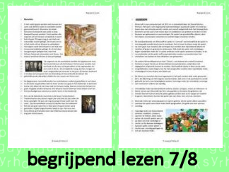 Begrijpend Lezen 4