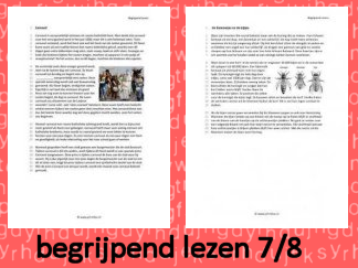 Begrijpend Lezen 1