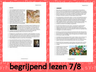 Begrijpend Lezen 4