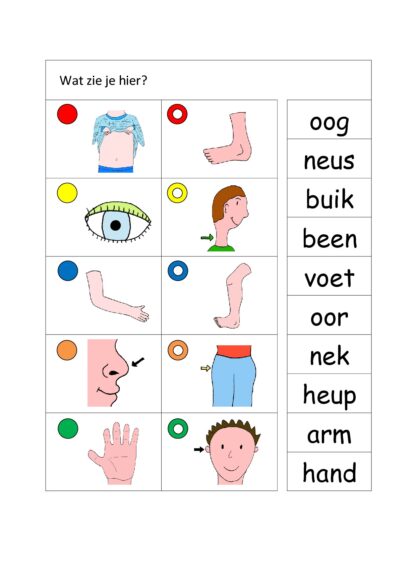Knijpkaarten - Taal - Afbeelding 5