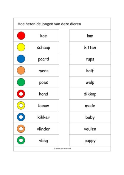 Knijpkaarten - Woordenschat - Afbeelding 3