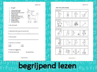 Begrijpend Lezen 5