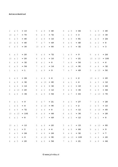 Vermenigvuldigen t/m 100 som als 2 x 2 = ? - Afbeelding 3