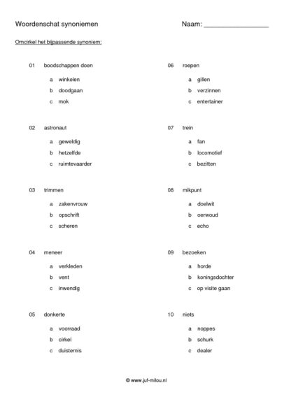 Synoniemen niveau 1 - Afbeelding 5