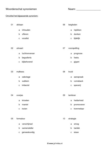 Synoniemen niveau 2 - Afbeelding 5