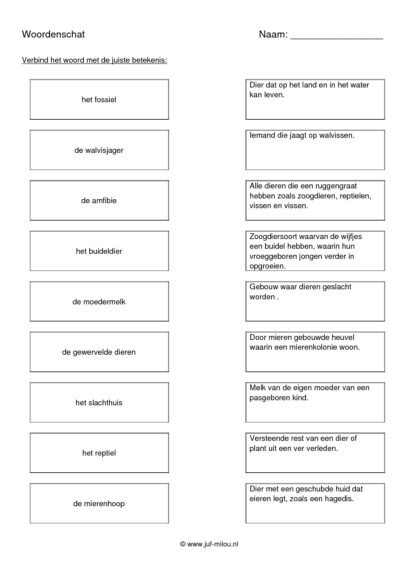 Woordenschat dieren - Afbeelding 7