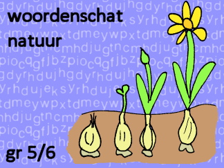 Woordenschat natuur