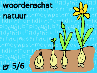 Woordenschat natuur