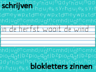 Schrijven - blokletter zinnen