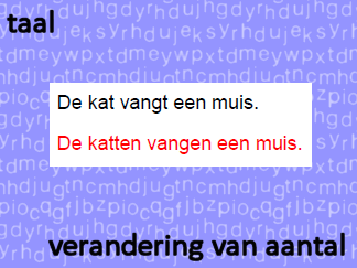 Taal - verandering van aantal