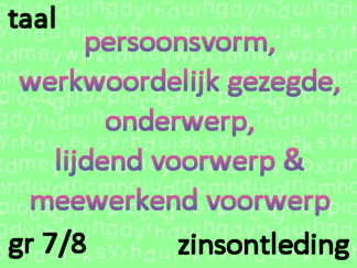 Zinsontleding - pv, wwg, ond, lv, mv