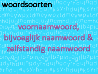 Woordsoorten - vnw, bnw, znw