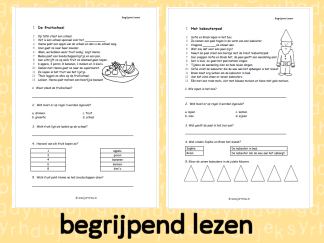 Begrijpend Lezen 5