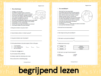 Begrijpend Lezen 6