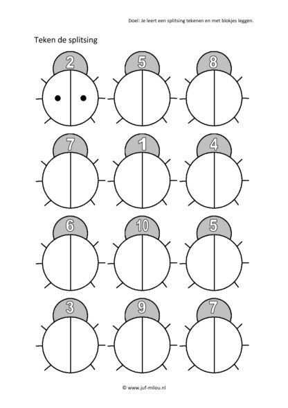 Splitsen - Afbeelding 3