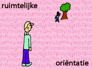 Ruimtelijke orientatie